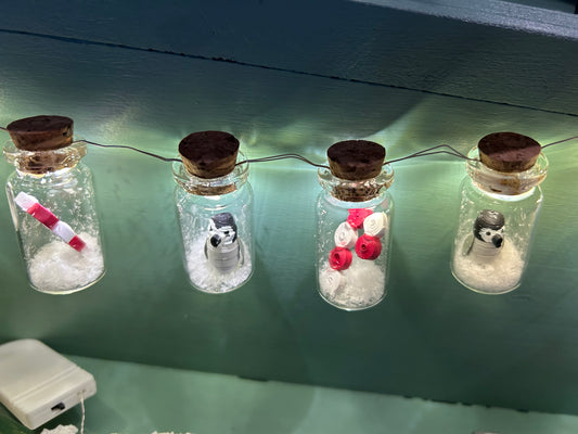 50 mini bottle fairy lights