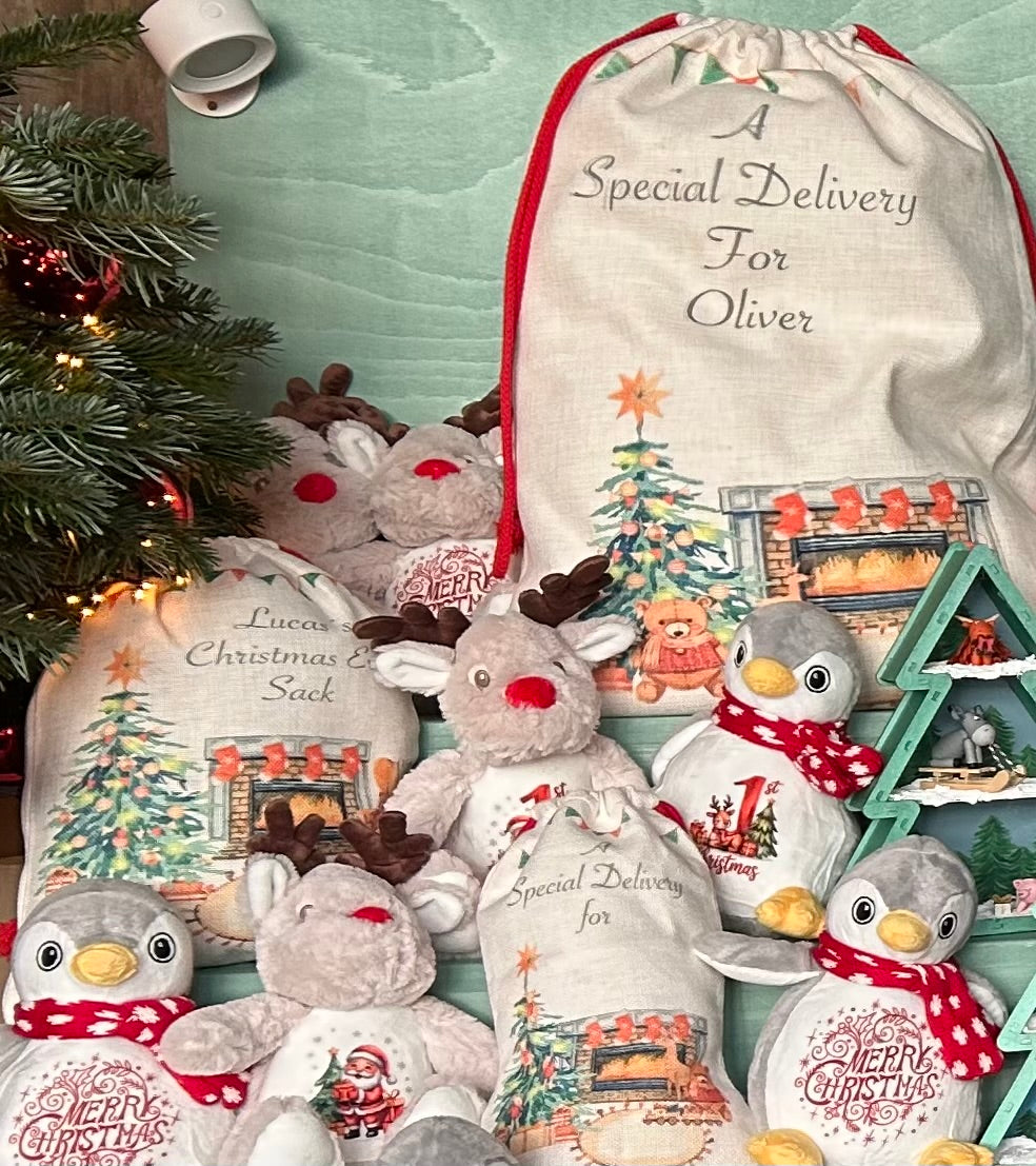 Santa Sack - Large